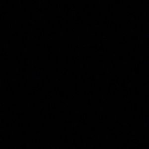 Meet your Posher, Tamara